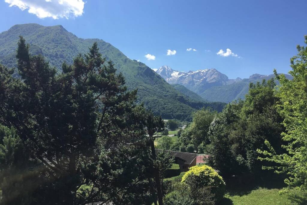Chalet De L'Ours Brun, Gite 3 Etoiles Gere-Belesten Exteriér fotografie